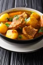 PotjiekosÃÂ is one of the most authentic South African dishes from lamb and vegetables close-up in a bowl. vertical